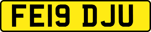 FE19DJU