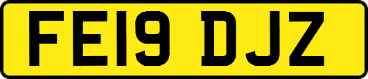 FE19DJZ