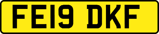 FE19DKF