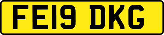 FE19DKG