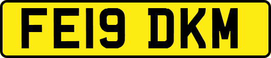 FE19DKM
