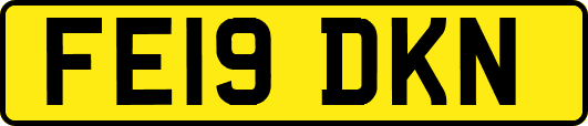 FE19DKN
