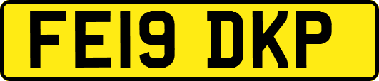FE19DKP