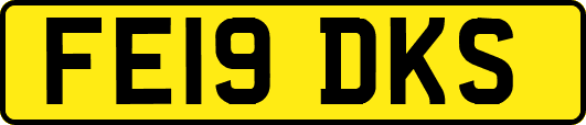 FE19DKS