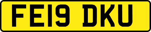 FE19DKU