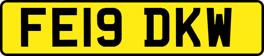 FE19DKW