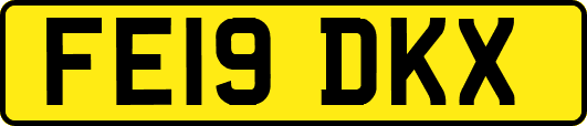 FE19DKX