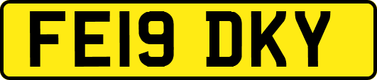 FE19DKY