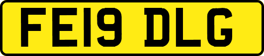 FE19DLG