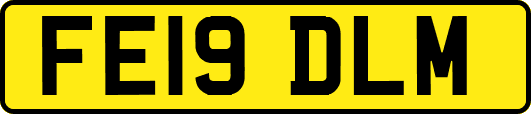FE19DLM