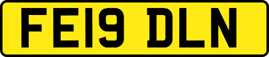 FE19DLN