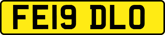 FE19DLO