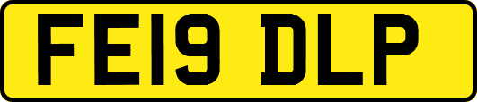 FE19DLP