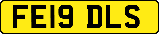FE19DLS