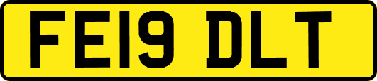 FE19DLT