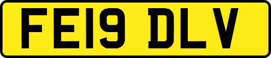 FE19DLV