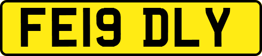 FE19DLY