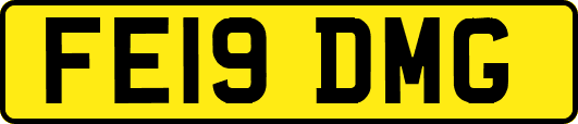 FE19DMG