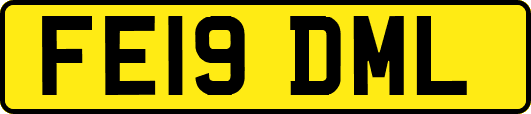 FE19DML