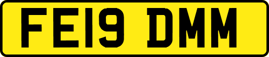 FE19DMM