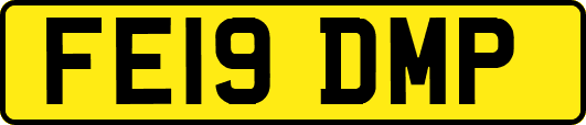 FE19DMP