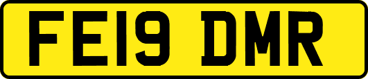 FE19DMR