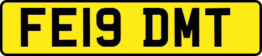 FE19DMT