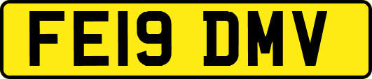 FE19DMV