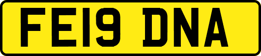FE19DNA
