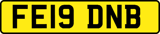 FE19DNB