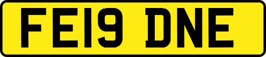 FE19DNE