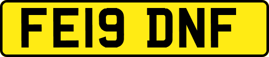 FE19DNF