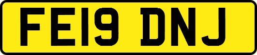 FE19DNJ