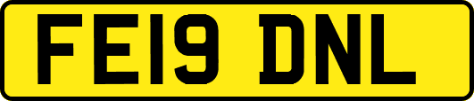 FE19DNL