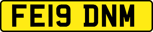 FE19DNM