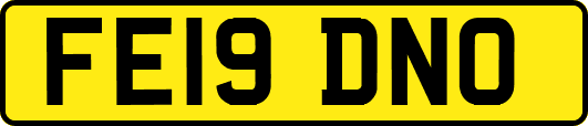 FE19DNO
