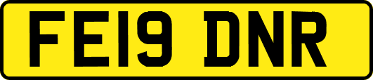FE19DNR