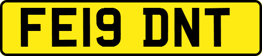 FE19DNT