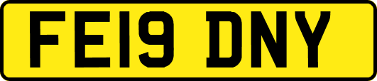 FE19DNY