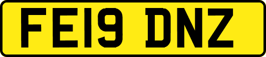 FE19DNZ