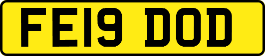 FE19DOD