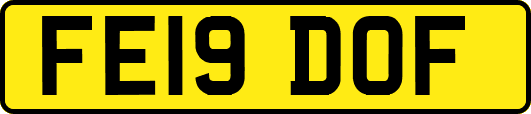 FE19DOF