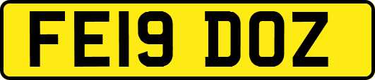 FE19DOZ