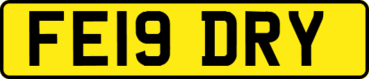FE19DRY