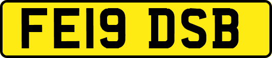 FE19DSB