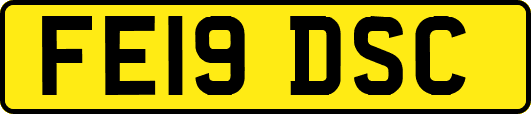 FE19DSC