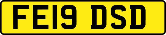 FE19DSD