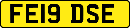 FE19DSE