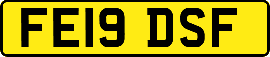 FE19DSF