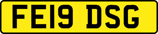 FE19DSG